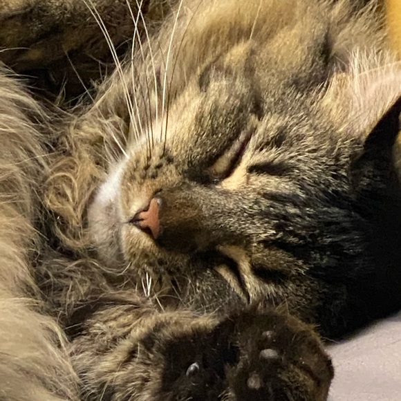 Meet your Posher, Valeri - Picture 13 of 14